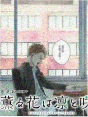 免费影视综艺《深夜食堂研究所》海报